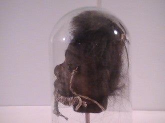 Shrunken Heads: Revenge of the Shuar