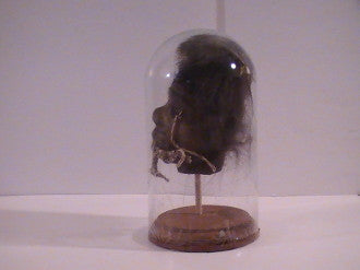 Shrunken Heads: Revenge of the Shuar