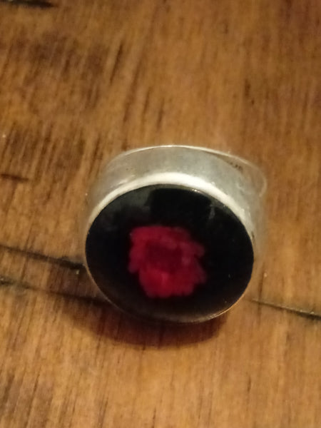 The Bleeding Heart and Soul of Christ