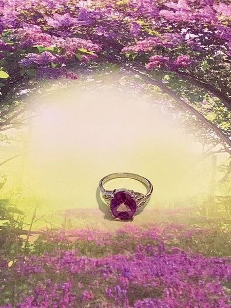 It's A Twin Thing:  Your Soul Doppelganger