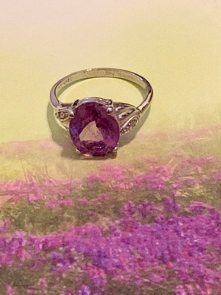 It's A Twin Thing:  Your Soul Doppelganger