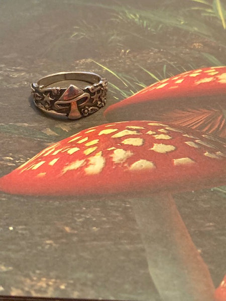 The Secret Society called Alice and Their Wonderland