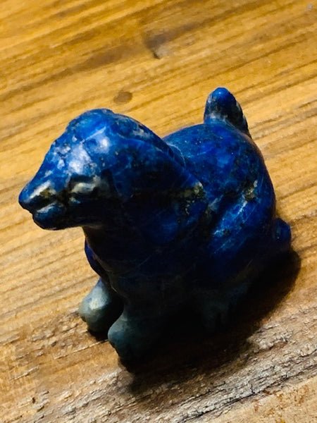 FLASH SALE: PSYCHIC COMMUNICATION WITH YOUR PET