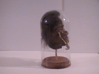 Shrunken Heads: Revenge of the Shuar